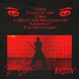 Bhadboi OML  Freedom Ft. Wizkid latest naija song mp3 download 